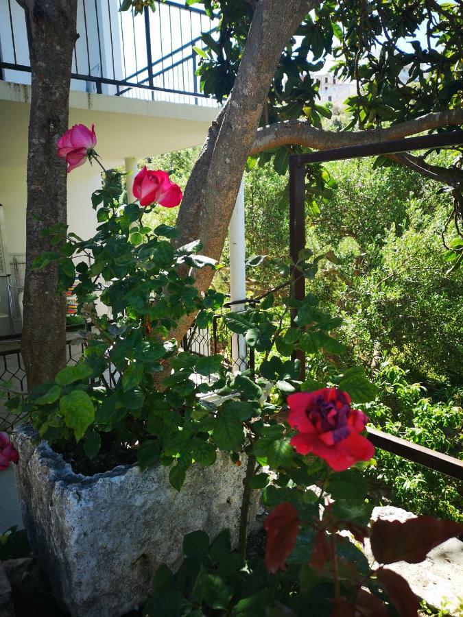 Apartman Sissy Primošten Exteriér fotografie