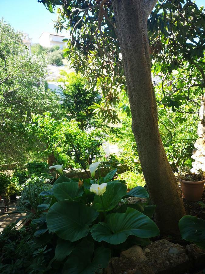 Apartman Sissy Primošten Exteriér fotografie